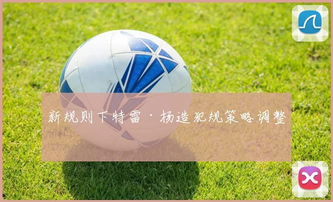 新规则下特雷·杨造犯规策略调整