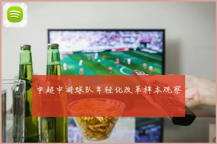 中超中游球队年轻化改革样本观察