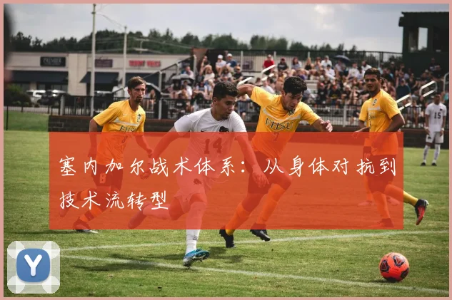 塞内加尔战术体系：从身体对抗到技术流转型
