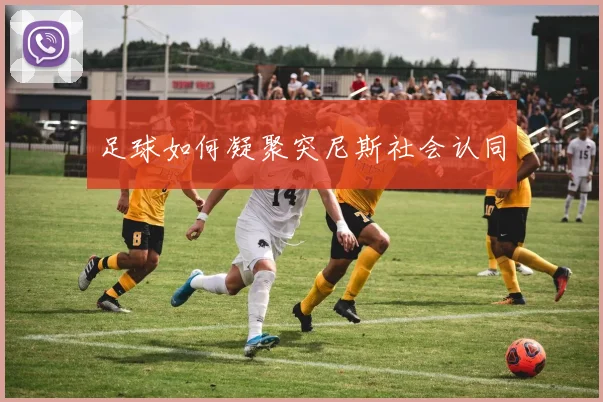 足球如何凝聚突尼斯社会认同