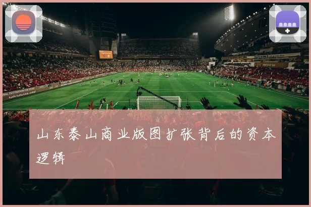 山东泰山商业版图扩张背后的资本逻辑