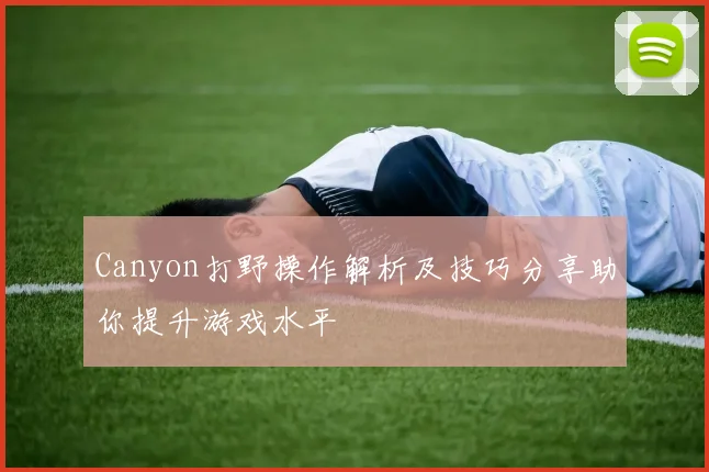 Canyon打野操作解析及技巧分享助你提升游戏水平