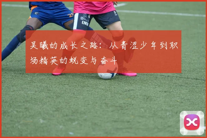 吴曦的成长之路：从青涩少年到职场精英的蜕变与奋斗